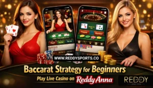 Baccarat Strategy for Beginners Play Live Casino on Reddy Anna