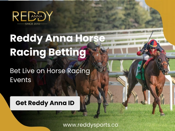 Reddy Anna Horse Racing Betting – Bet Live on Horse Racing Events