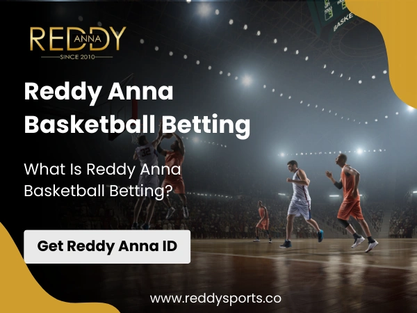 What Is Reddy Anna Basketball Betting