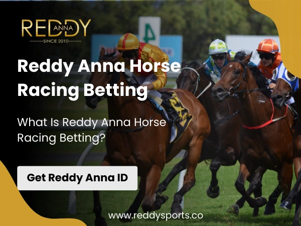 What Is Reddy Anna Horse Racing Betting