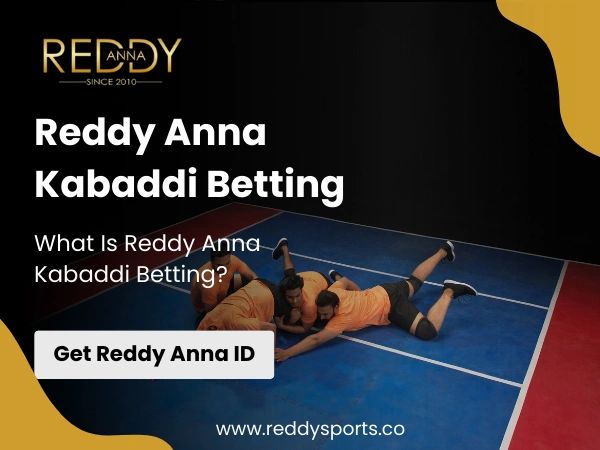 What Is Reddy Anna Kabaddi Betting