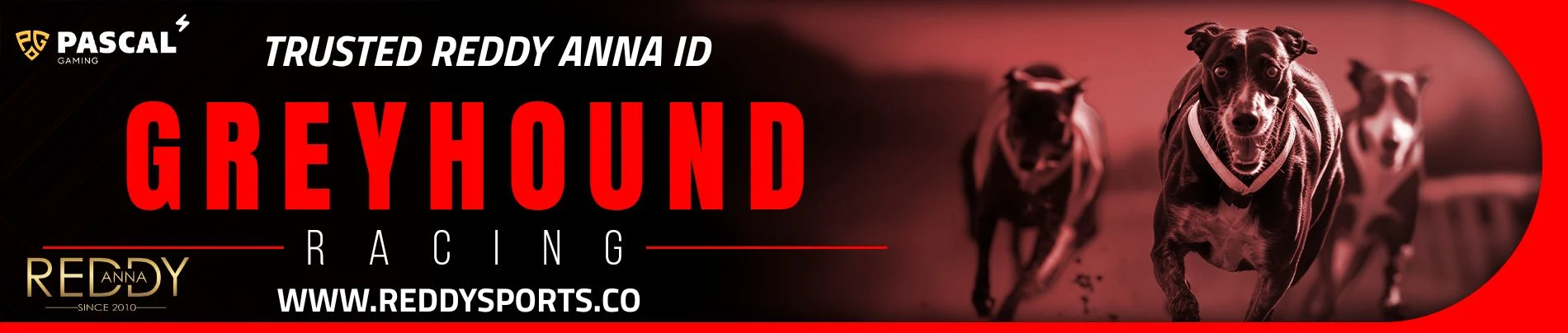 reddy anna greyhound racing