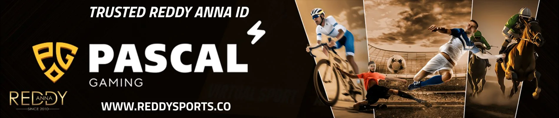 reddy anna sports betting