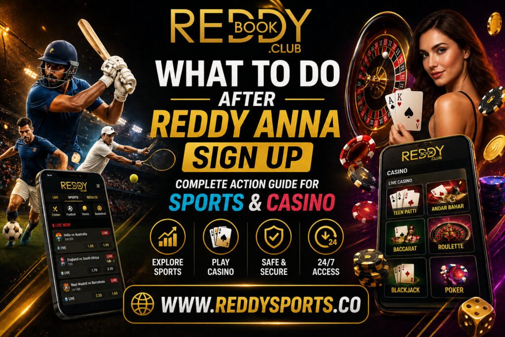 What to Do After Reddy Anna Sign Up