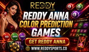 Understanding Reddy Anna Color Prediction Game Rules