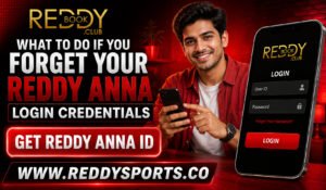 What to Do If You Forget Your Reddy Anna Login Credentials