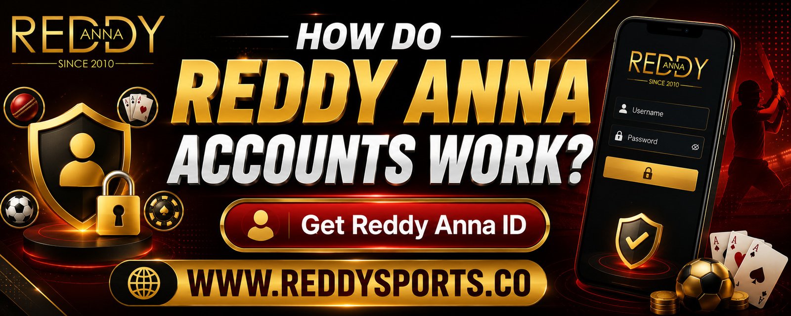 How Do Reddy Anna Accounts Work